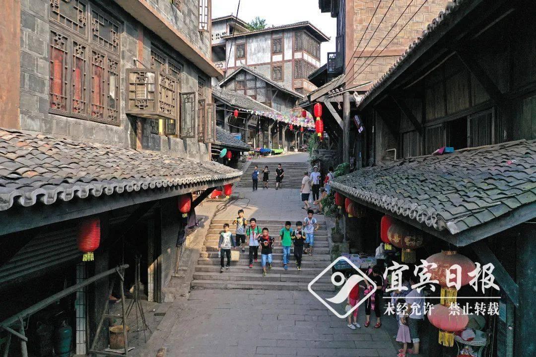 冷知识分享平台——自律的女孩子是什么性格?首选!
